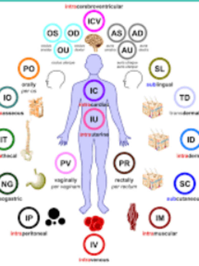 8 Types of Dosage forms based on route of Admistration