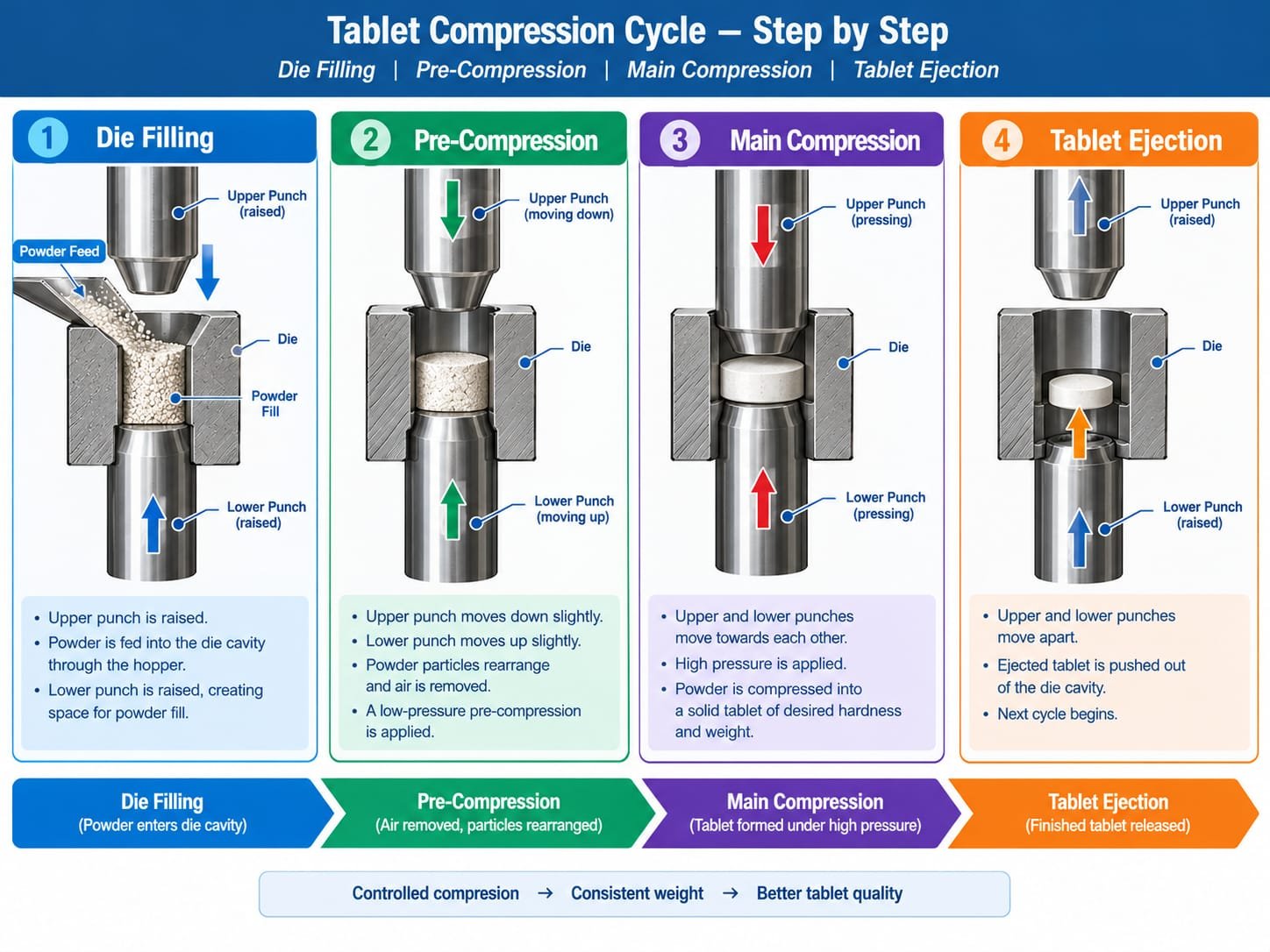 Diagram showing die filling, pre-compression, main compression and tablet ejection